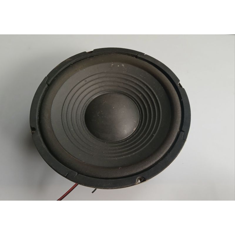 SPEAKER BIGBAND POLYTRON MODEL LAMA 10 Inch