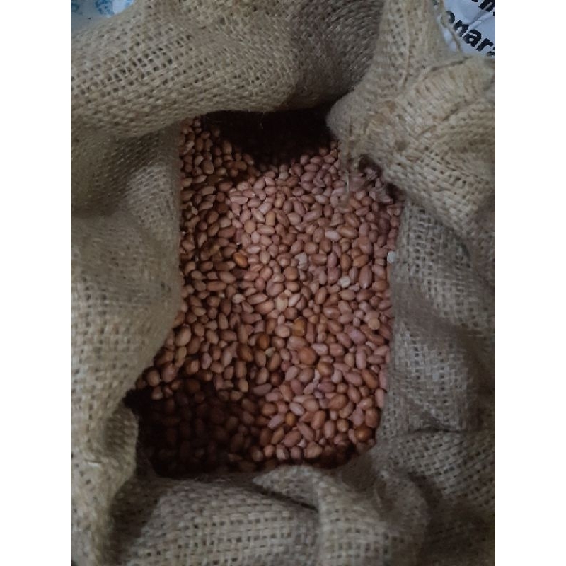 

kacang tanah kulit repack 250gr, 500gr, 1 kg