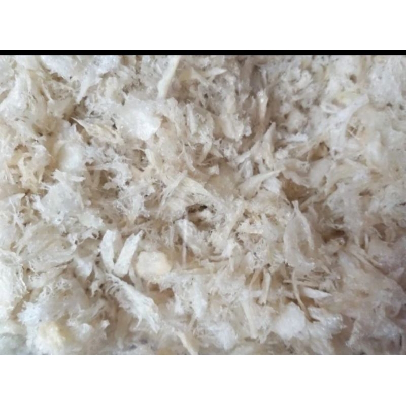 

sarang walet kering 250