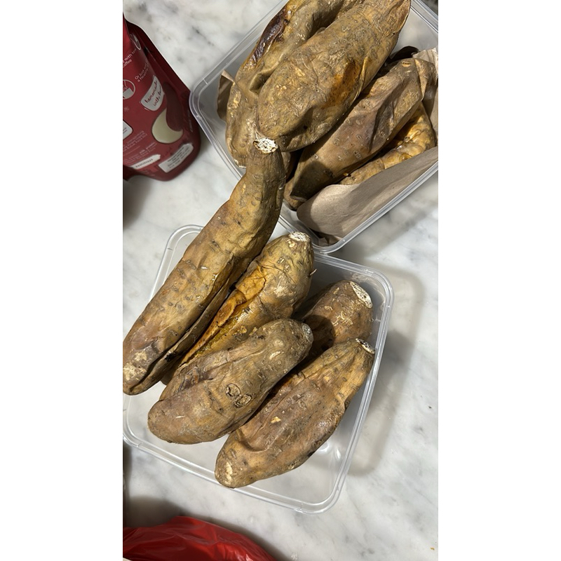 

UBI CILEMBU MADU OVEN