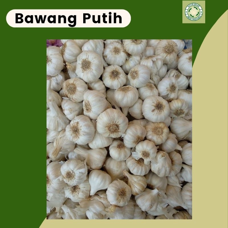 

Bawang Putih/pcs