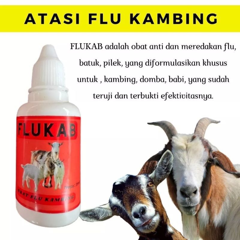 FLUKAB obat batuk kambing-pilek kambing