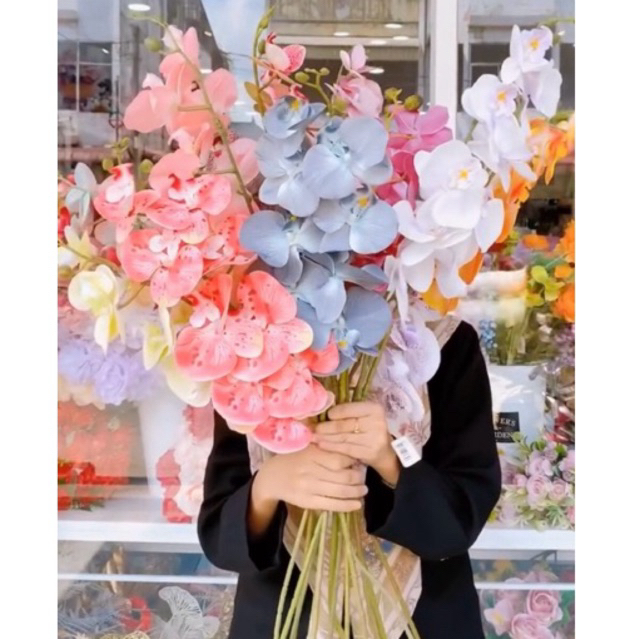 Anggrek Latex Premium