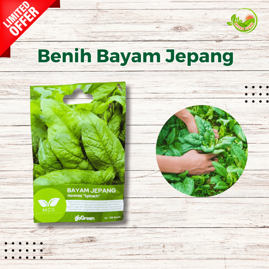 Benih Bayam Jepang Horenso-Benih Japanese Spinach Horenzo-Bayam Jepang Benih Murah