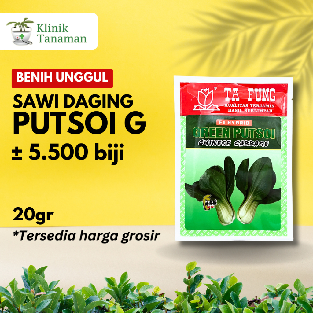 Benih Sawi Daging Sendok G 20gr (5.500 Biji) Green Putsoi Bibit Sawi Daging Ta Fung Bibit Sawi Tafun