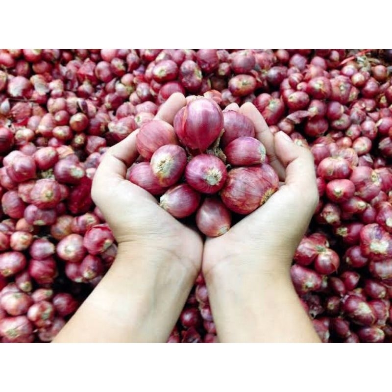 

Bawang Merah Premium Kering Anti Basah / Bamer Besar 500gram