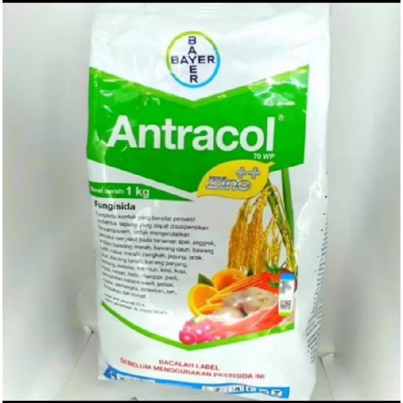 antracol 1kg