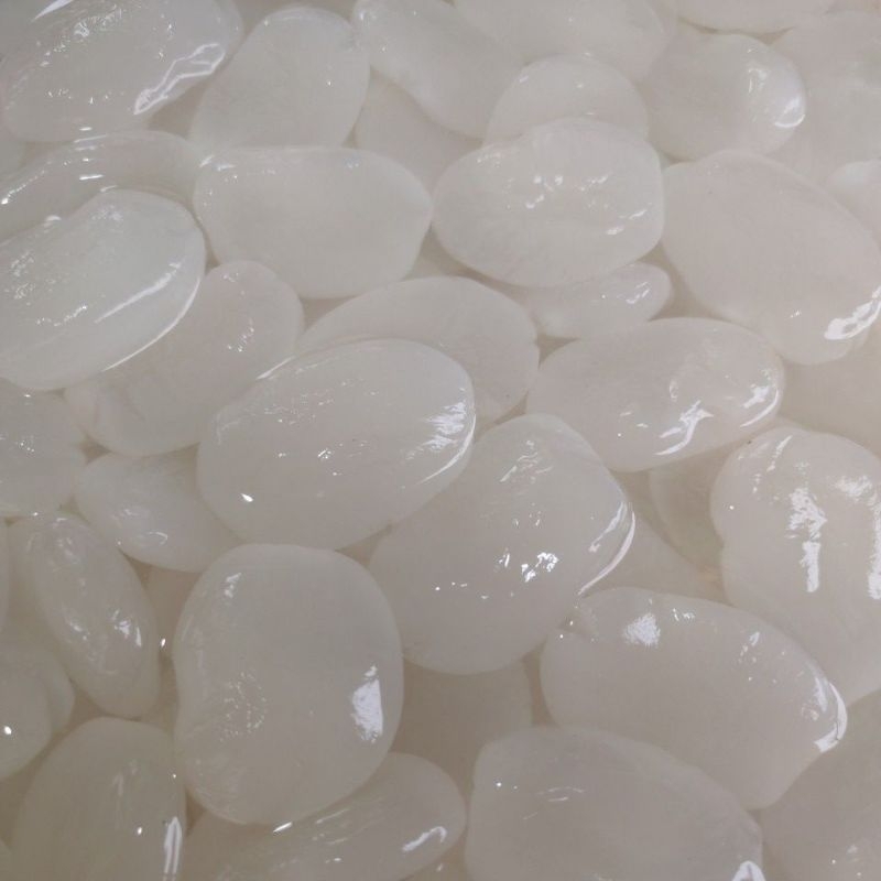 

KOLANG KALING 1KG BESAR MUDA