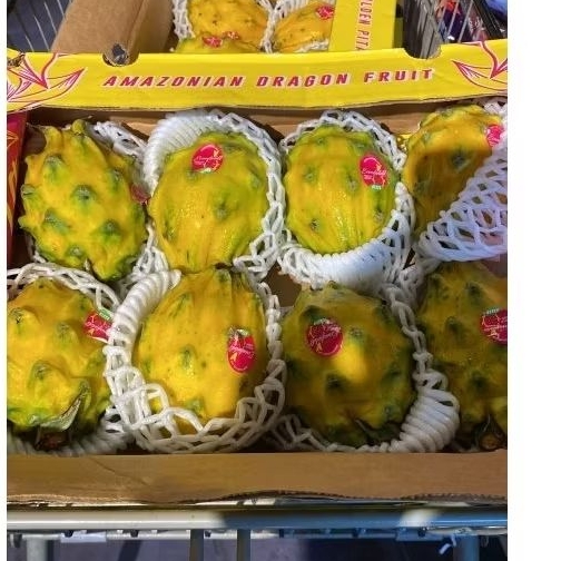 

Buah naga kuning import Super premium manis pcs