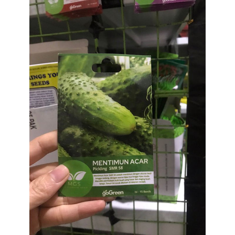 Benih timun acar Pickling SMR 58 15butir benih ketimun acar benih mentimun acar dari MGS
