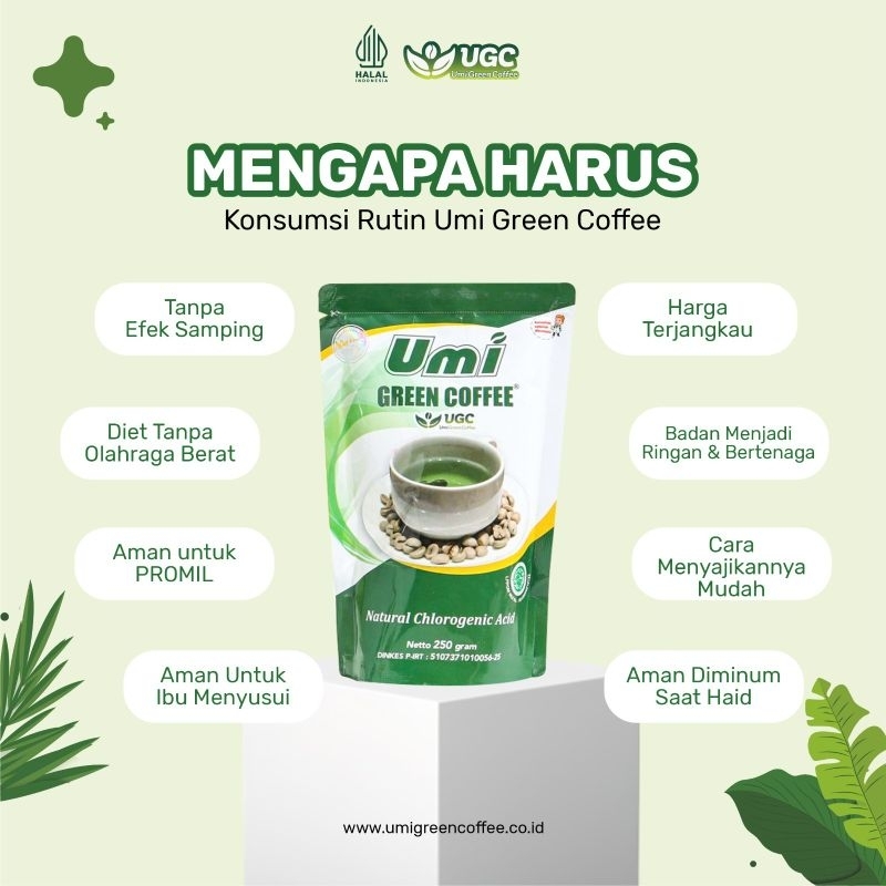 

KOPI HIJAU UMI GREEN COFFEE SOLUSI KELENJAR GETAH BENING