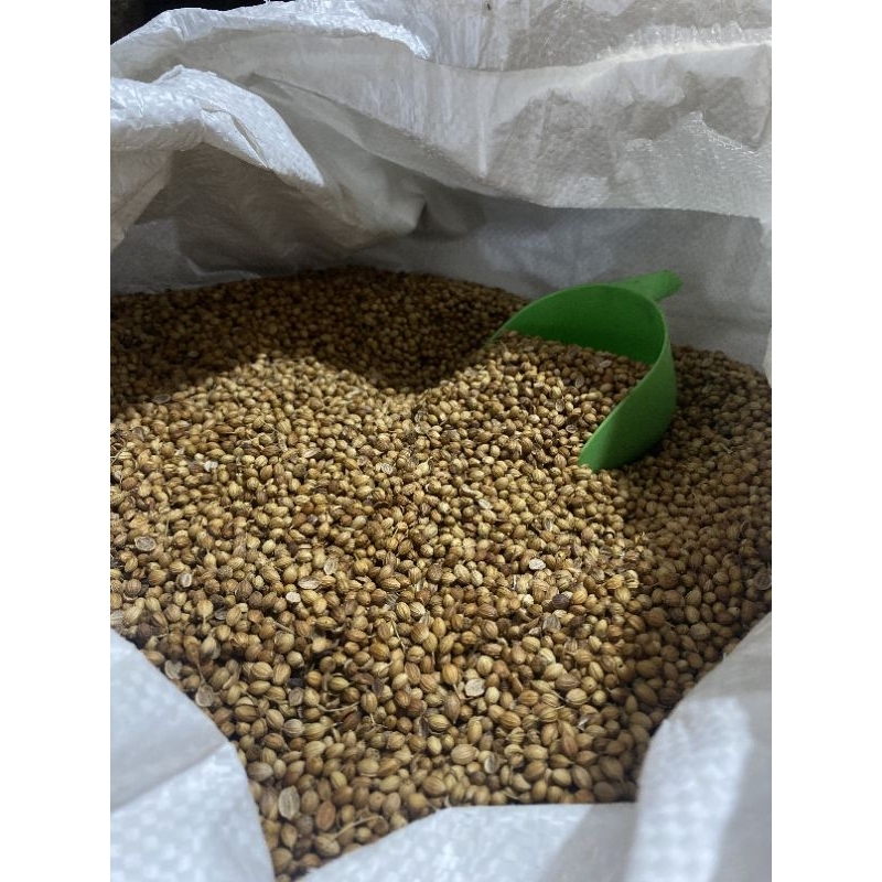 

Ketumbar India Bulat/ Coriander Seeds