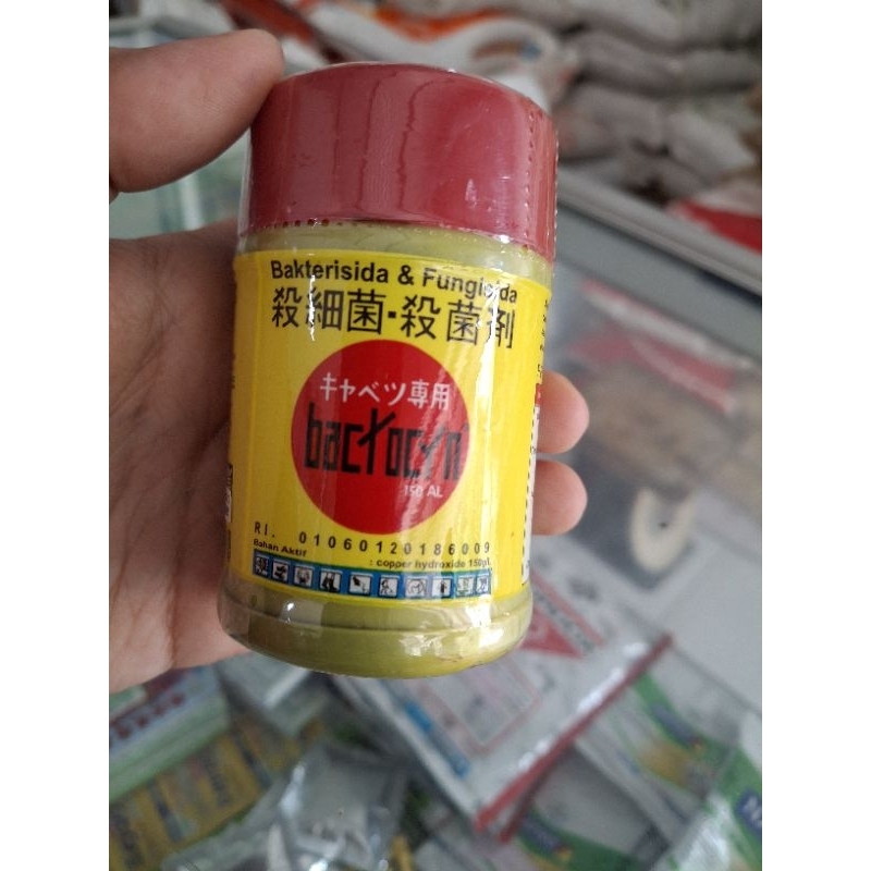 FUNGISIDA/BAKTERISIDA BACTOCYN - 100ML