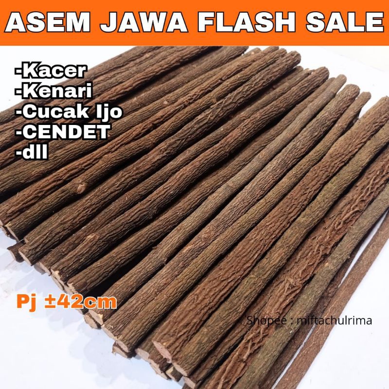 FLASH SALE TANGKRINGAN ASEM JAWA ( KAYU TETEHAN)