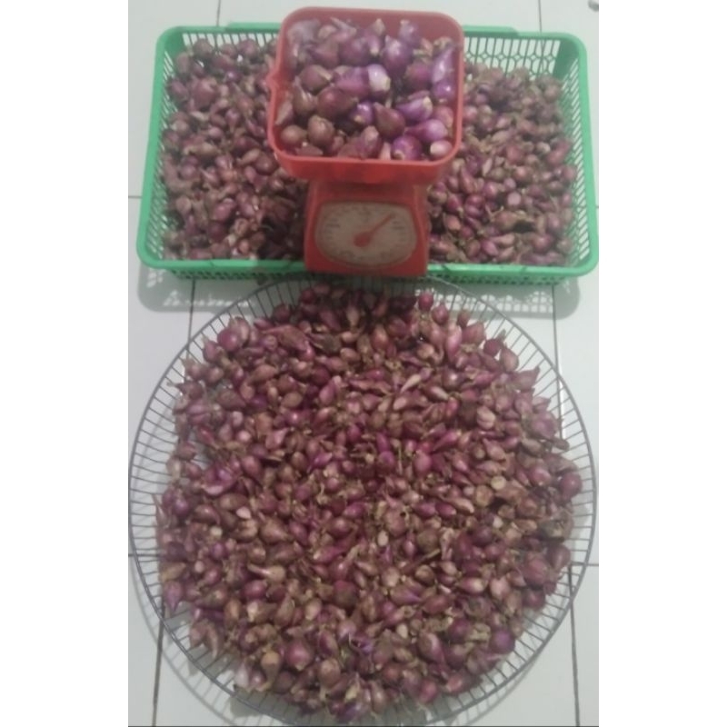 

Bawang Merah Sedang 1kg