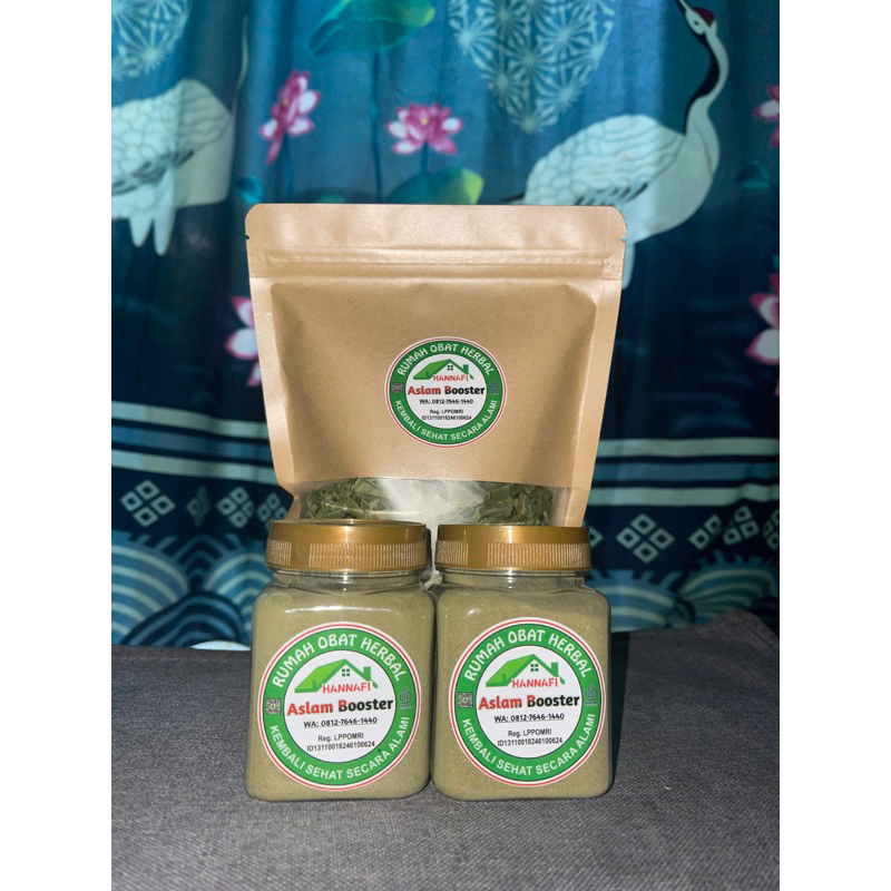 

paket aslam gerd hanafi