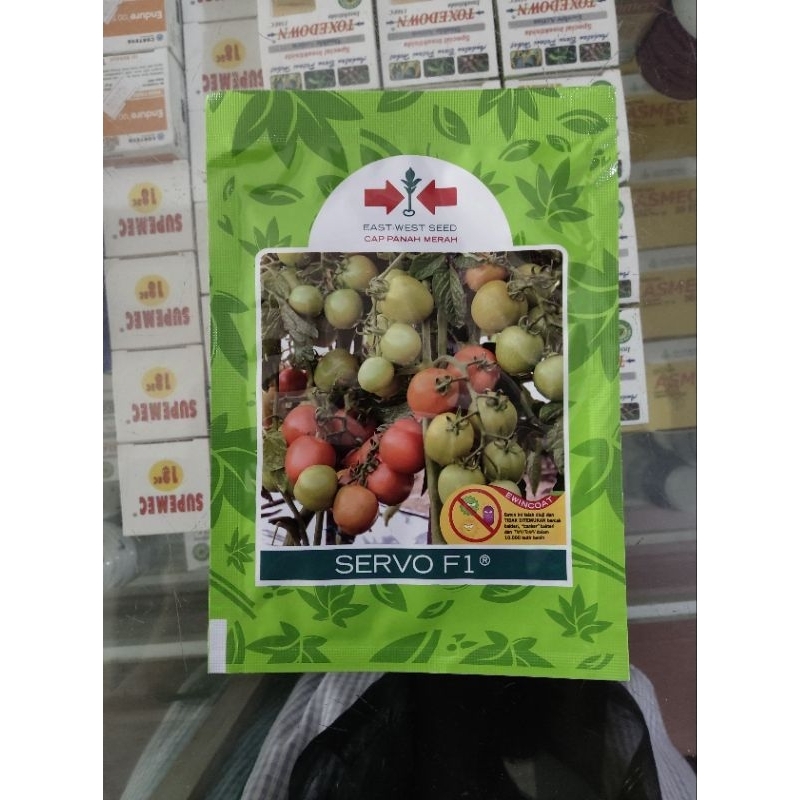 benih bibit tomat servo