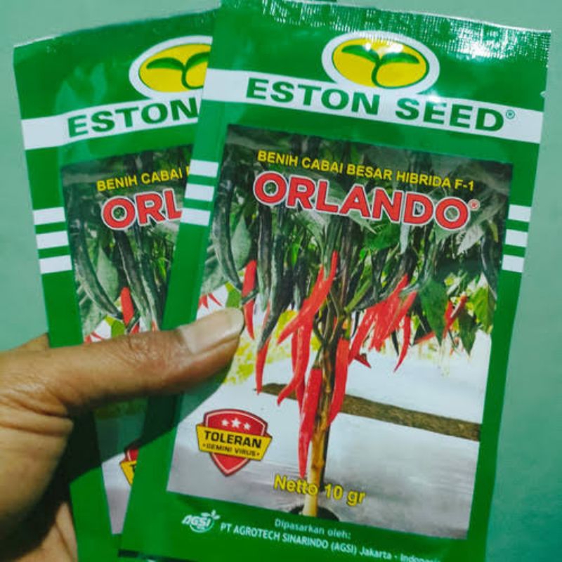 Benih Cabe Besar Napoli F1 10 Gram-Eston seed