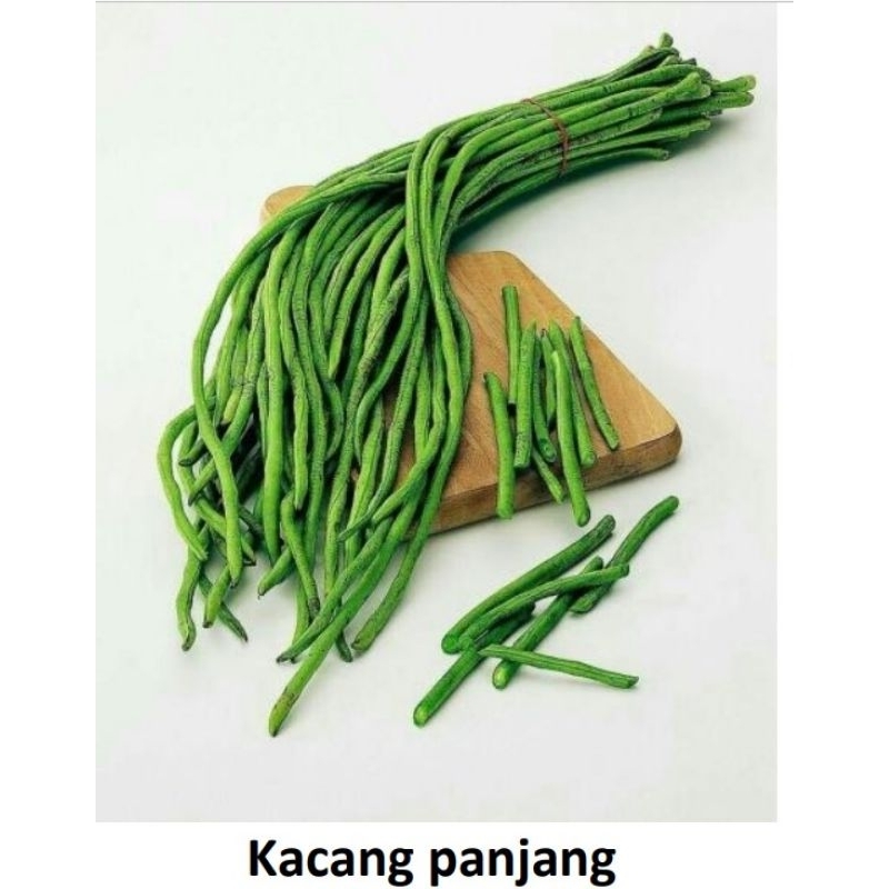 

KACANG PANJANG