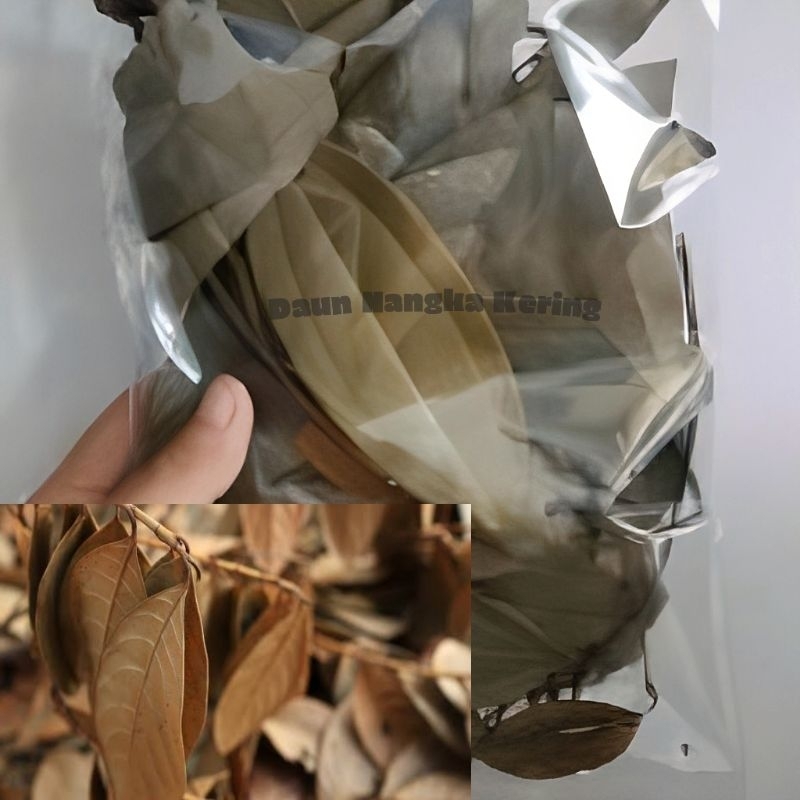 

Daun Nangka Kering Per Pack (obat herbal/obat tradisional/obat alami)