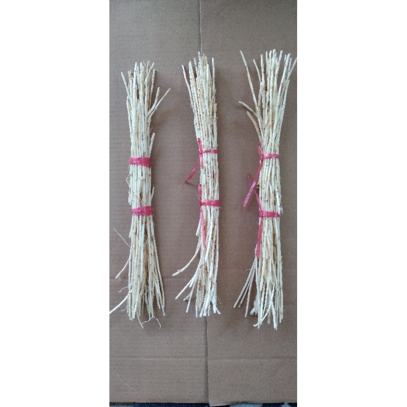 

Akar Alang - Alang Segar