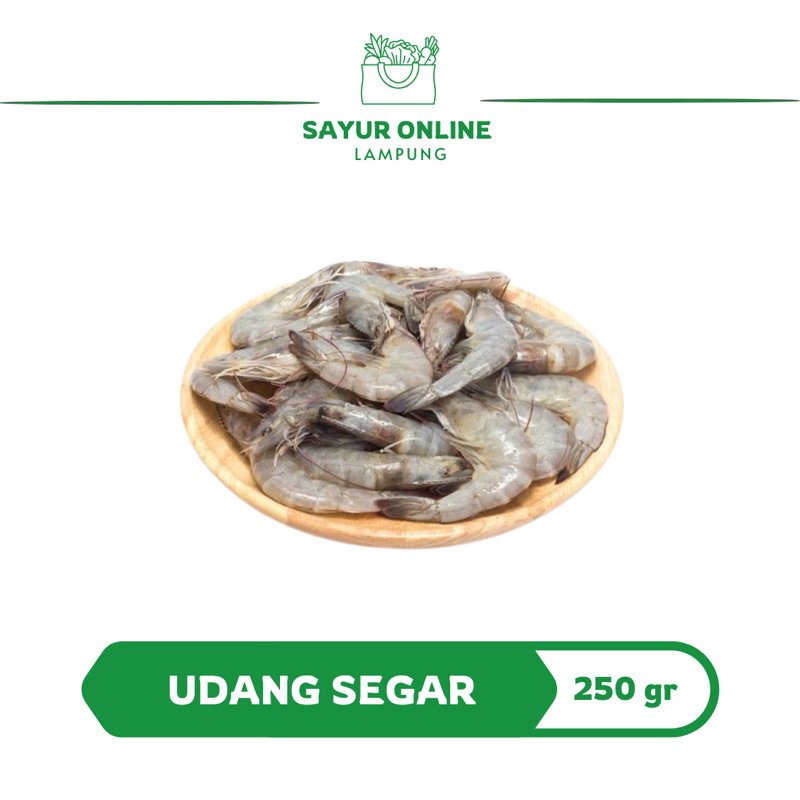 

Udang 250 gr -Udang Segar - Sayur Online Lampung