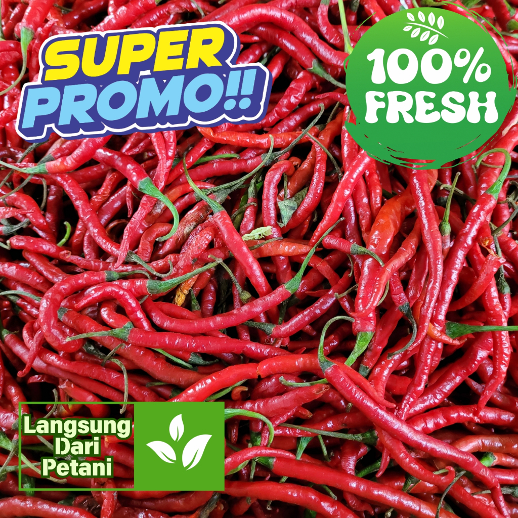 

Cabai keriting berat 1kg langsung dari petani