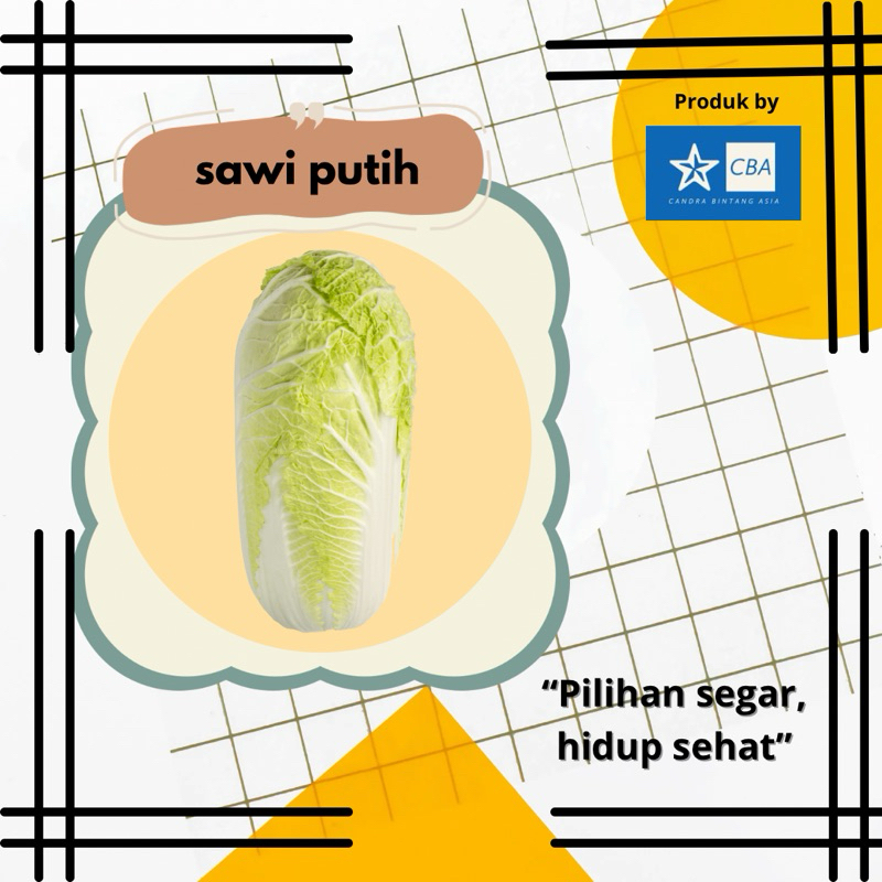 

sawi putih fresh siap kirim