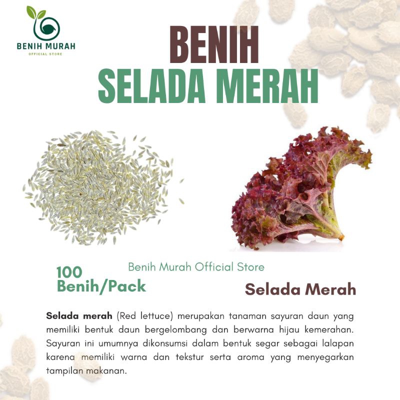 

SELADA MERAH