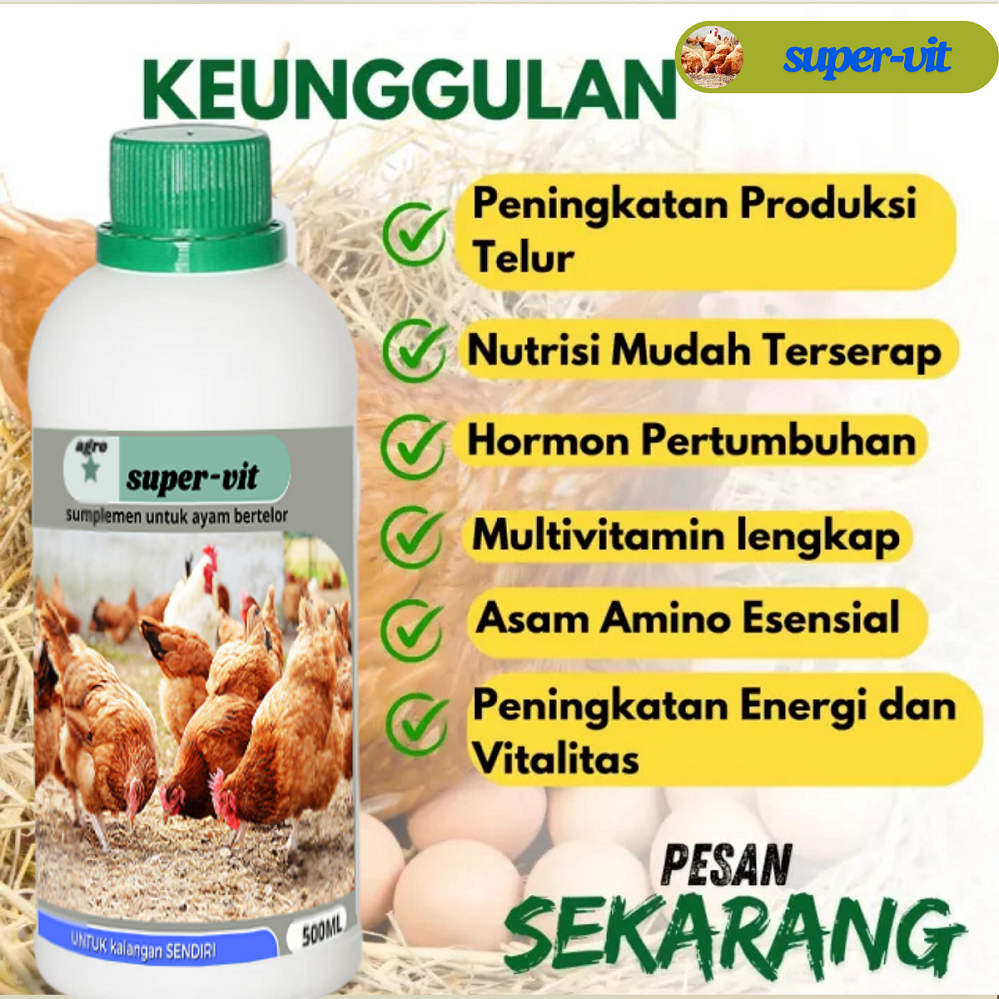 Vitamin SUPER-VIT untuk meningkatkan produktivitas Telur Ayam, vitamin booster Penggemuk AYAM KAMPUN