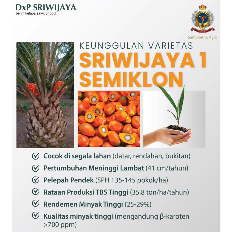 Benih Sawit Unggul DxP SRIWIJAYA 1 original Bersertifikat