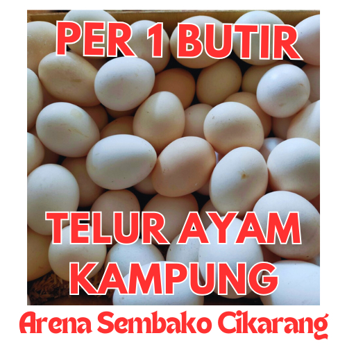 

(INSTANT / SAMEDAY ONLY) PROMOO GROSIR TELUR AYAM KAMPUNG PER 1 PCS ARENA SEMBAKO CIKARANG