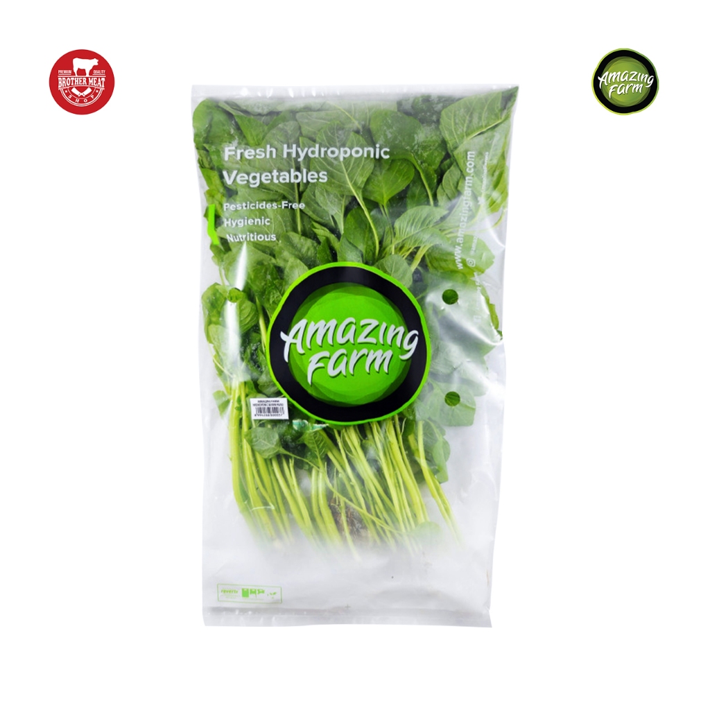 

Bayam Hijau Sayur Hidroponik 250gr - Brothermeatshop