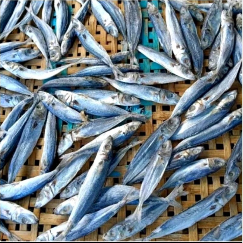 

Ikan Asin Silver atau Gereh Ireng