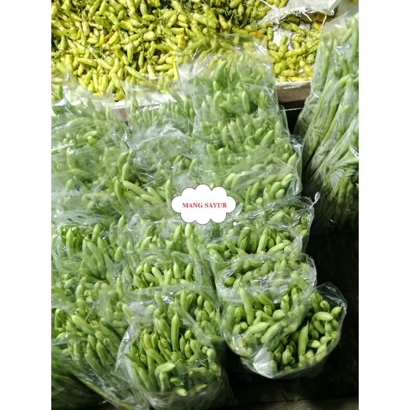 

buncis muda buncis lalap mang sayur