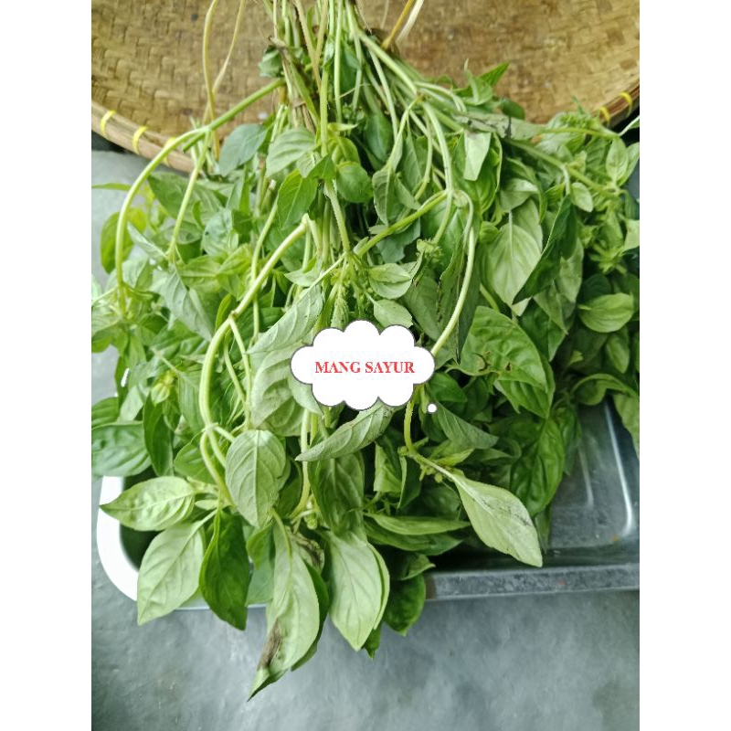 

kemangi lalapan surawung mang sayur mang sayur