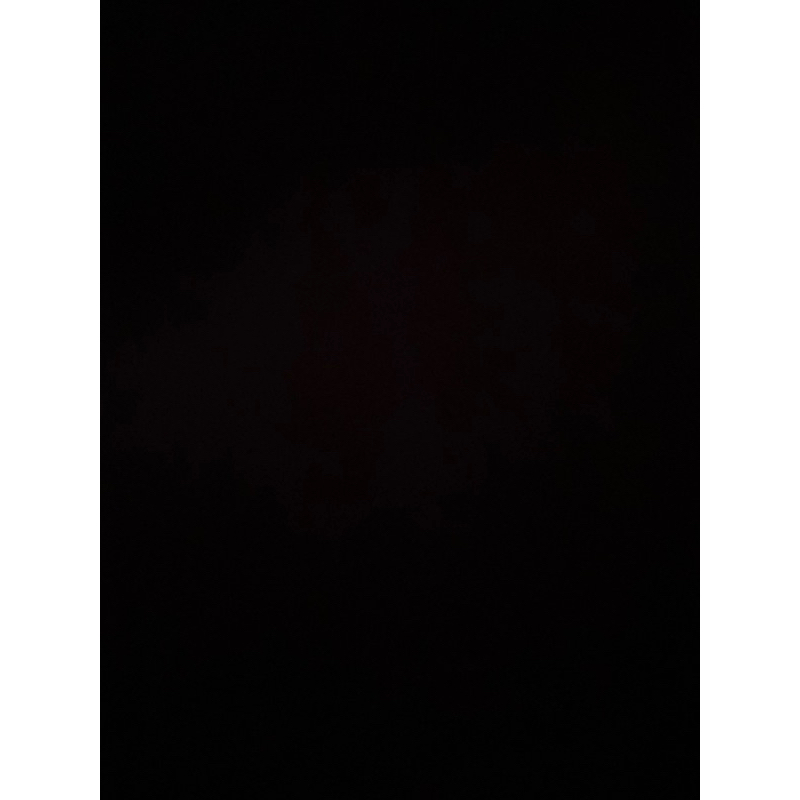 stussy 5 panel corduroy