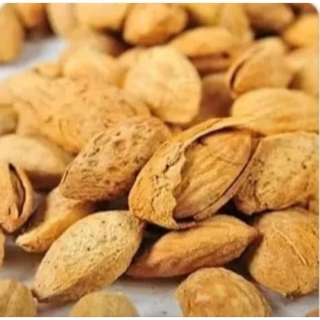 

Kacang ALMOND Roasted Milk Almon Cangkang Susu Panggang