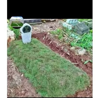 paket pemasangan rumput makam