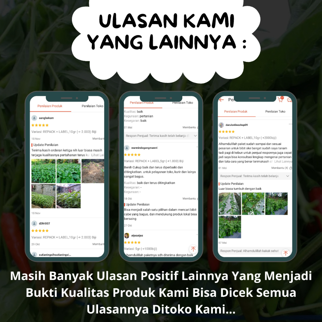 Baymarkeet Benih/Bibit Cabe Rawit Hijau Lokal 5Gr & 10Gr Isi (-+1000 & -+2000) Biji/Butir Benih
