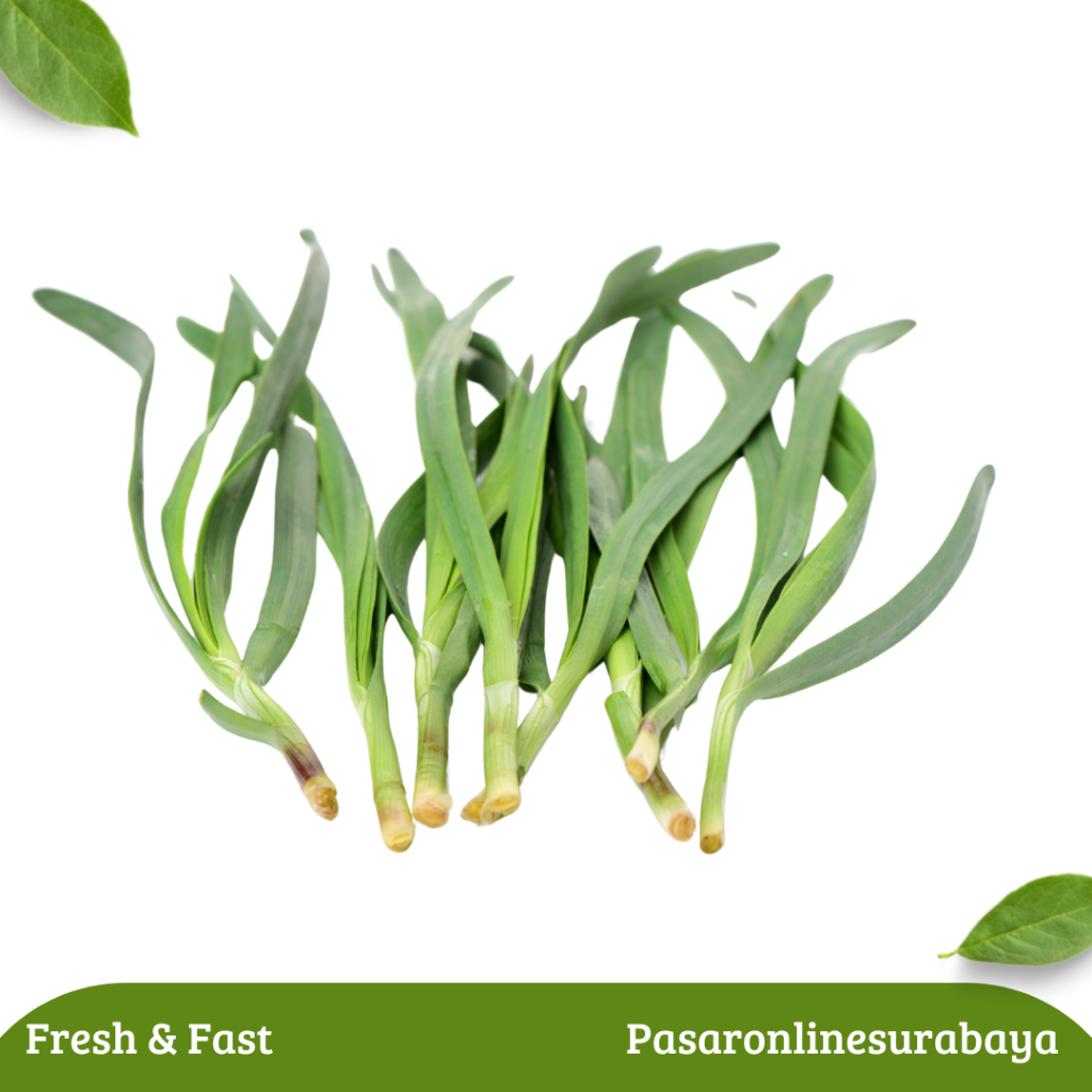 

Daun Bawang Besar prei leek 250 gram 500 Gram 1 kg Bawang Pre