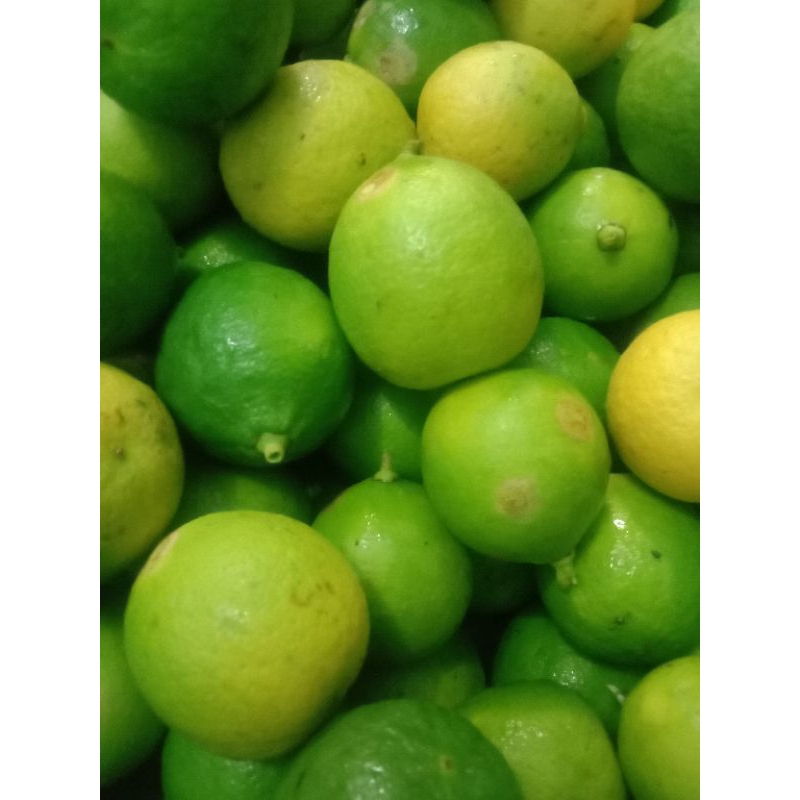 

Jeruk nipis 1kg organik