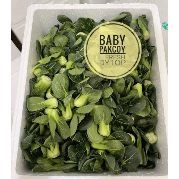

Sayur Shanghai Sayur Packcoy Baby Pakcoy Import Fresh Segar - Dus