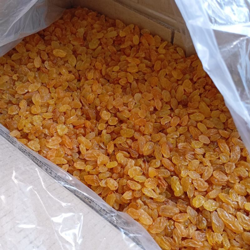 

Kismis Mutiara Kismis Mutiara Dus 10kg