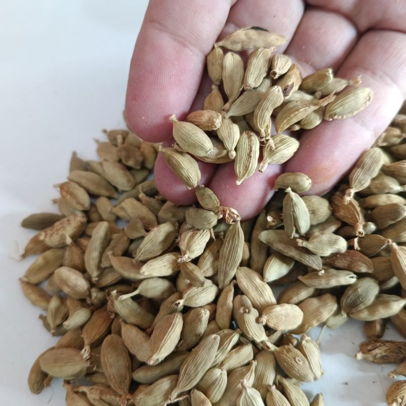 

Kapulaga Hijau \ Light Green Cardamom \ kapulaga Arab kapulaga India 100gr