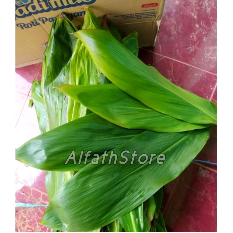 

Daun Andong Hijau Bungkus Bacang 20 lembar