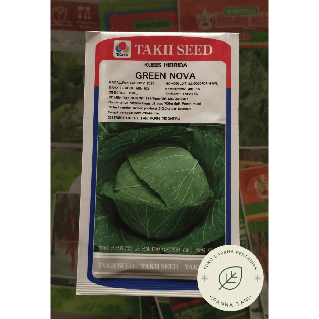 GREEN NOVA KUBIS HIBRIDA TAKII SEED – BENIH KUBIS HIJAU