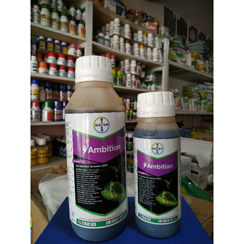 ZAT AMBITION Bayer