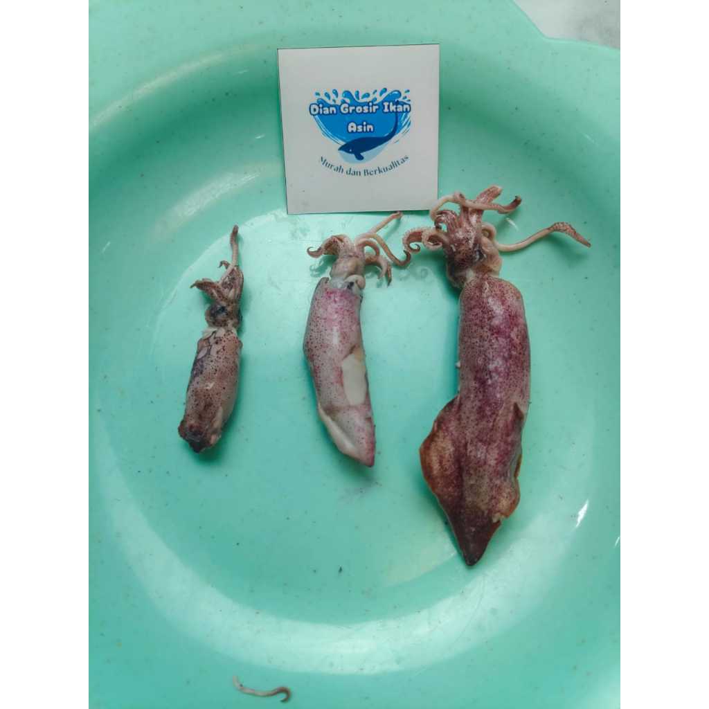 

HG Grosir Ikan Asin Dian - Ikan Asin Cumi Sontong Ukuran Jumbo Gram (Cumi Rebus)