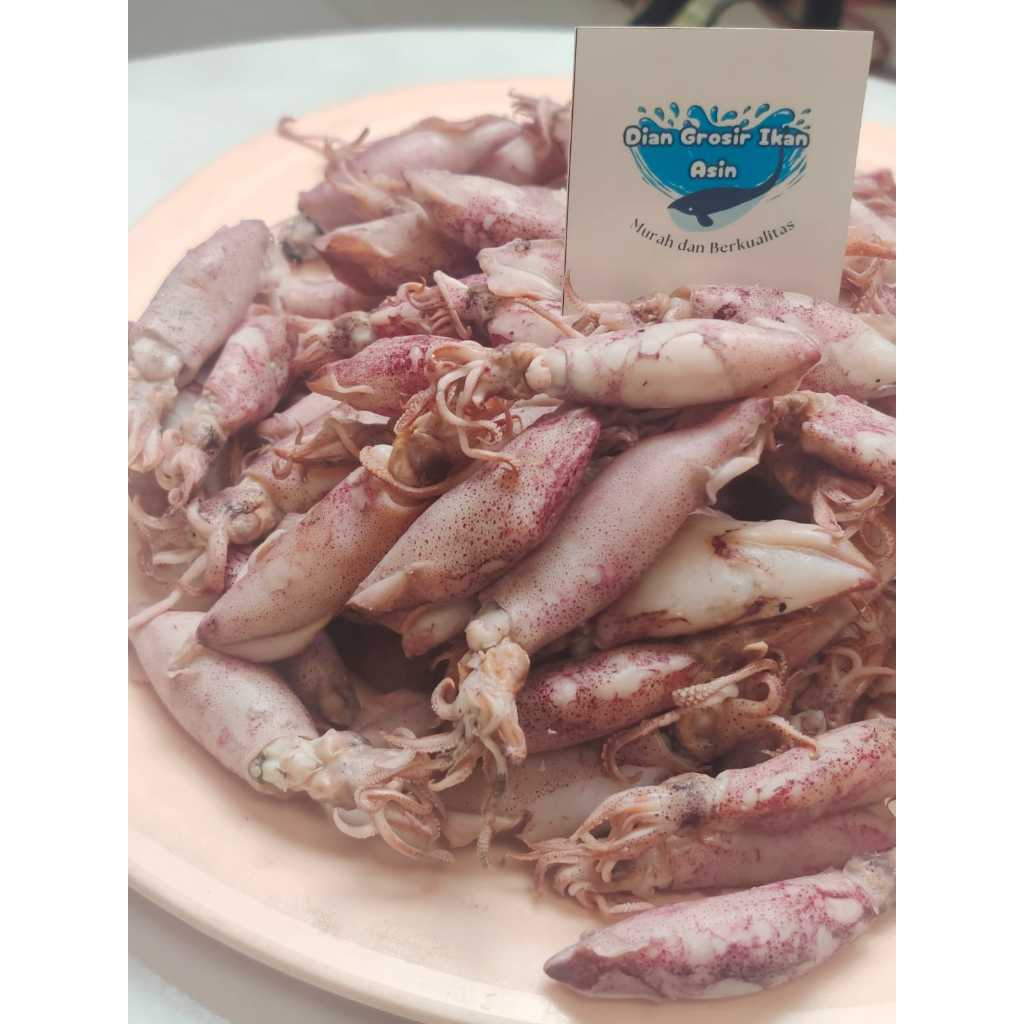 

Grosir Ikan Asin Dian - Ikan Asin Cumi Sontong Ukuran Sedang Berat 500 Gram(Cumi Rebus)